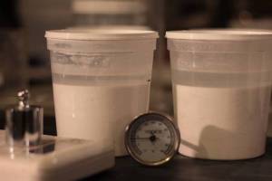 Effet de la température sur l'extinction